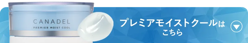 canadel(カナデル)「プレミアモイストクール」はこちら