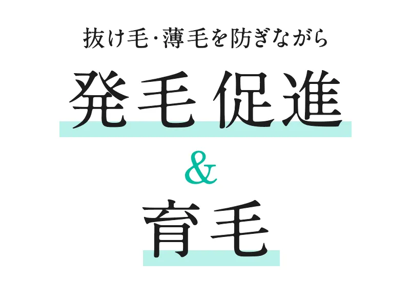 抜け毛・薄毛を防ぎながら発毛促進&育毛