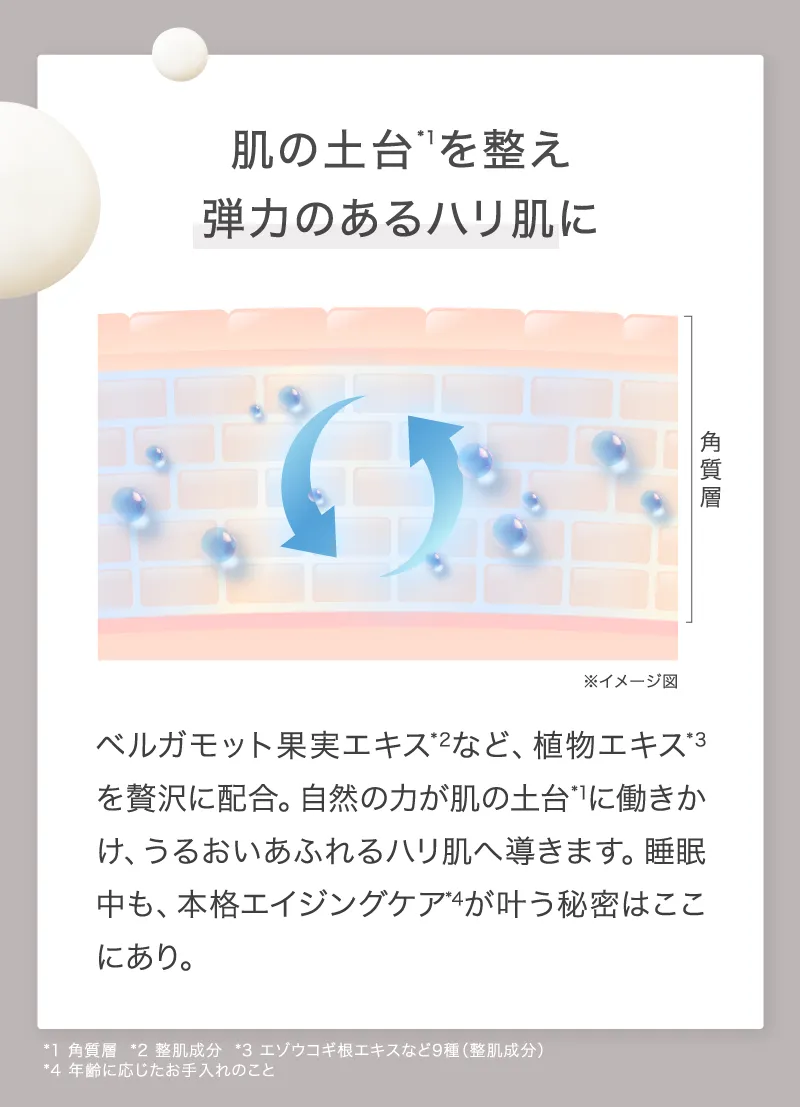 肌の土台を整え弾力のあるハリ肌に
