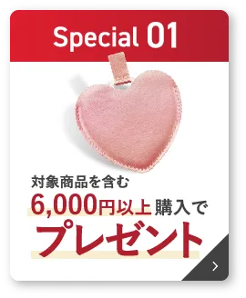 対象商品を含む6,000円以上購入でプレゼント