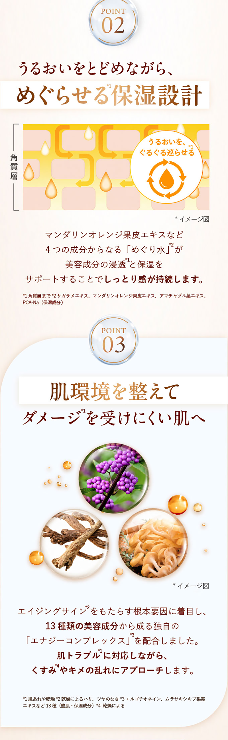 POINT02 うるおいをとどめながら、めぐらせる保湿設計 POINT03 肌環境を整えてダメージを受けにくい肌へ