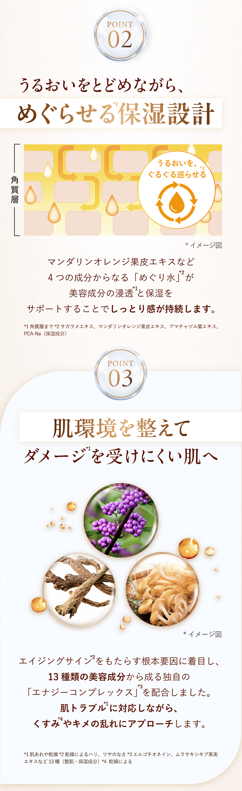 POINT02 うるおいをとどめながら、めぐらせる保湿設計 POINT03 肌環境を整えてダメージを受けにくい肌へ