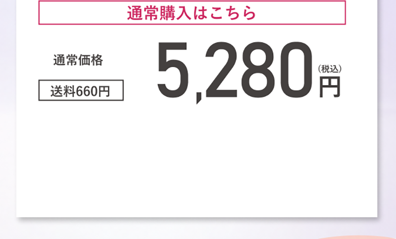 通常購入：ザ ポアレスセラム　単品