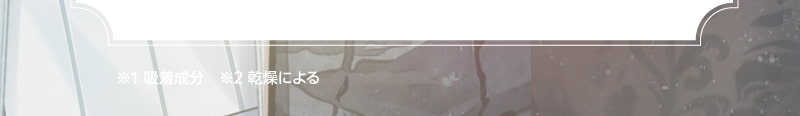 ※1吸着成分
