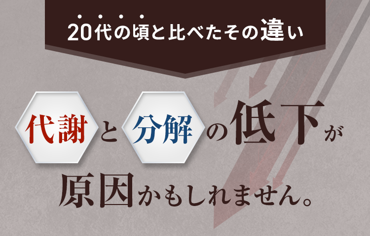 代謝と分解の低下が原因かもしれません。