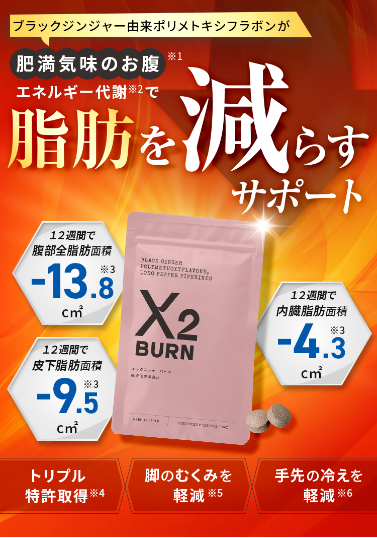 肥満気味のお腹 エネルギー代謝で 脂肪を減らす X2BURN