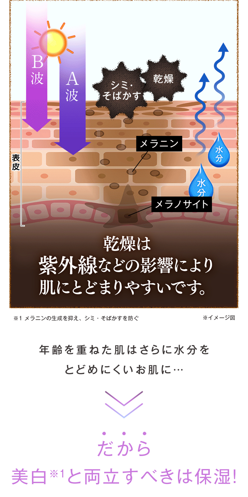 乾燥は紫外線などの影響により肌にとどまりやすいです。