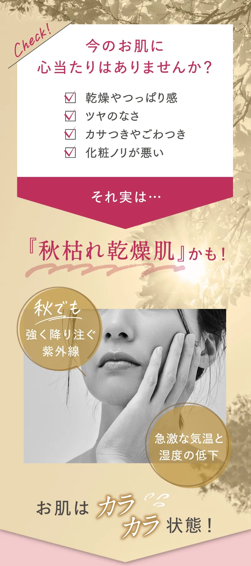今のお肌に心当たりはありませんか？それ実は秋枯れ乾燥肌かも!