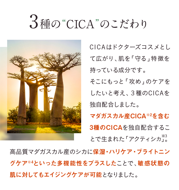 3種の“CICA”のこだわり