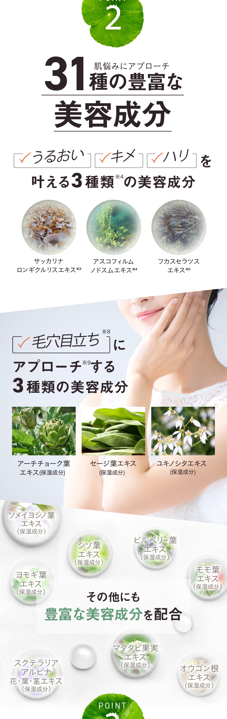 31種の豊富な美容成分